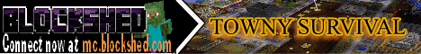 BlockShed Towns Server
